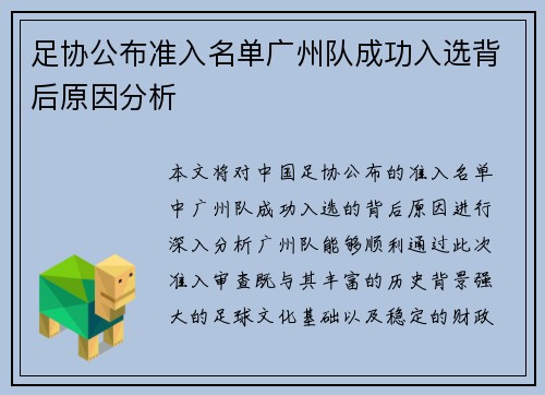 足协公布准入名单广州队成功入选背后原因分析